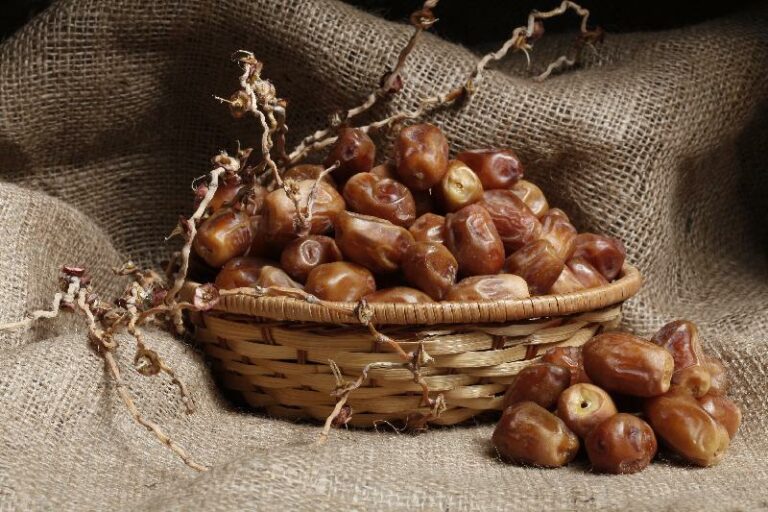 kurma supplier