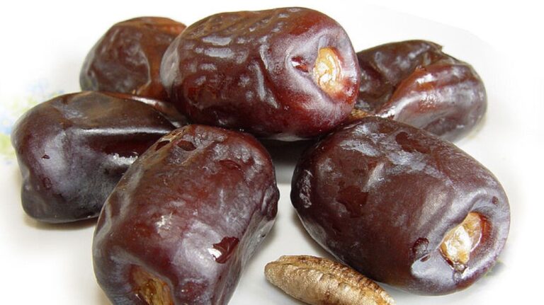 Kurma Rotab